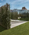 For decades, Dan Graham has created pavilions that play with viewers’ perceptions of space. His <em>Hedge Two-Way Mirror Walkabout</em>, 2014, a collaboration with the Swiss landscape architect 