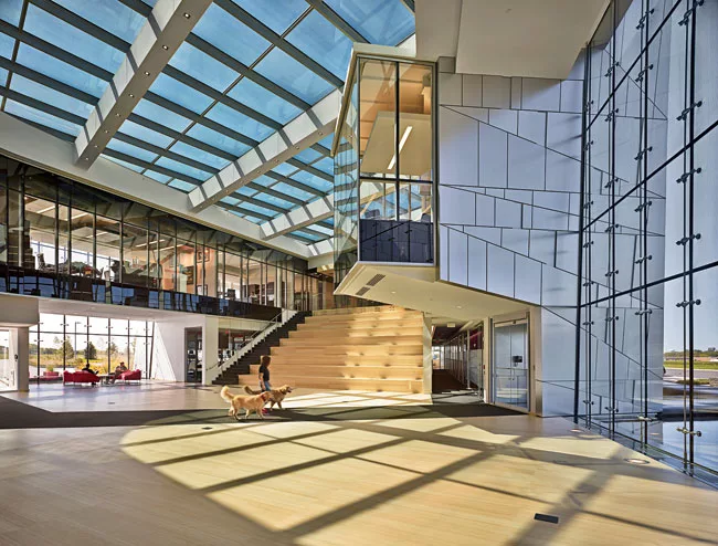 Dynamic Glass