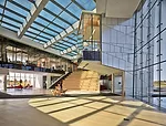 Dynamic Glass