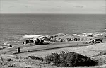 The Sea Ranch in 1965, before the grasses, cypress, and other natural plantings took over the grazed land.