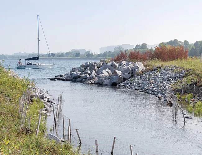 A mile-long path winds around the park for bikers, bird watchers, and other explorers to experience the island's serene stretches of lakefront.