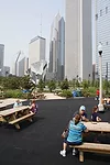 SmithGroupJJR, Studio Gang Architects, and the U.S. Army Corps of Engineers have recreated natural habitats to welcome wildlife on a site once occupied by a small airport. This newly opened outdoor sp