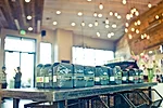 Verve Coffee Roasters