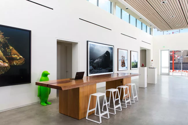 Reception desk and lobby