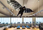 Fitness center, view of Virginie Barr's Fat Bat