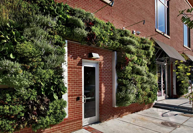 Living walls incorporate herbs and other edibles into two sides of the building.