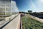 Grand Rapids Downtown Market