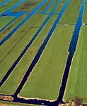 Polders, which are reclaimed from the sea, are one of the most characteristic features of the Dutch landscape.