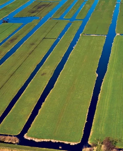 Polders, which are reclaimed from the sea, are one of the most characteristic features of the Dutch landscape.