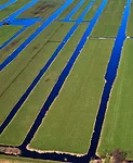 The Bloemendaal polder