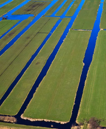 The Bloemendaal polder