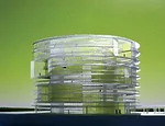 This competition-winning project in Madrid forms part of a campus of 18 round buildings (now on hold), which include designs by Foster + Partners, Zaha Hadid, and Richard Rogers. Working with his form