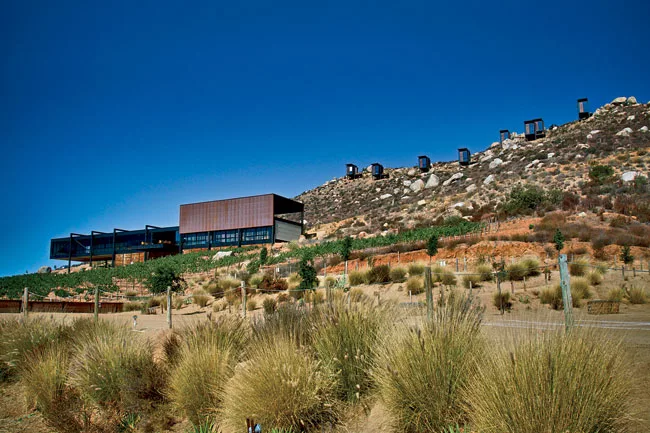 Since End'mico (previous slide) opened last winter, a 19,375-square-foot winery has been completed at the bottom of the hill. The steel-and-glass rectilinear structure, which provides wine tastings to