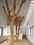 When the client for this project in Kagawa prefecture decided to build a home of her own adjacent to her parents, she knew that the trees she grew up with would have to go. But by integrating them int