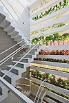 While their city is becoming increasingly dense and polluted, residents of Ho Chi Minh City still love their plants and trees. So Vo designed this 13-foot-wide private house with cantilevered planters
