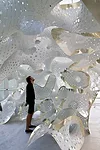 For the 2011 Art Basel in Miami Beach, Flroida, Fornes created a piece that seems to be inspired by sea coral. Its more than 12,000 parts are made from 256 sheets of aluminum. The resulting self-suppo