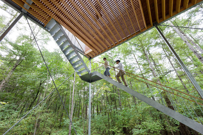 Pilotis in a Forest  Go Hasegawa and Associates