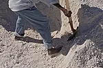 Shoeless men with bamboo-handled shovels fill the trucks, one by one. <em>January 2012</em>.