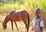 A boy tends to his family's horse in the countryside in central Haiti. <em>January 2012</em>.