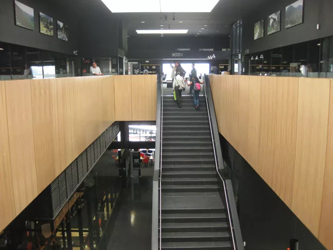 Large skylights illuminate the double-height space of the central stair.