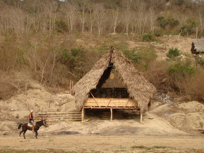The school sits on a beachfront plot and is partially open toward the sea.