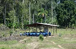 A second open-air pavilion provided additional space for instruction.