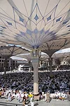 Snapshot: Medina Haram Piazza