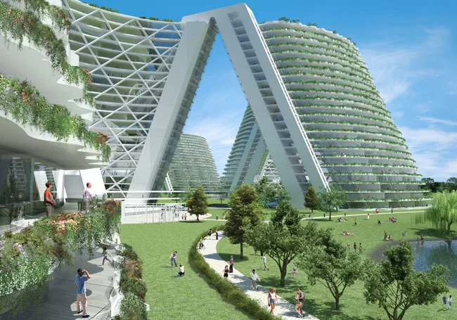 Moshe Safide Designs Golden Dream Bay