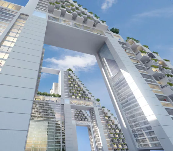 Moshe Safide Designs Golden Dream Bay