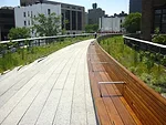 View south
