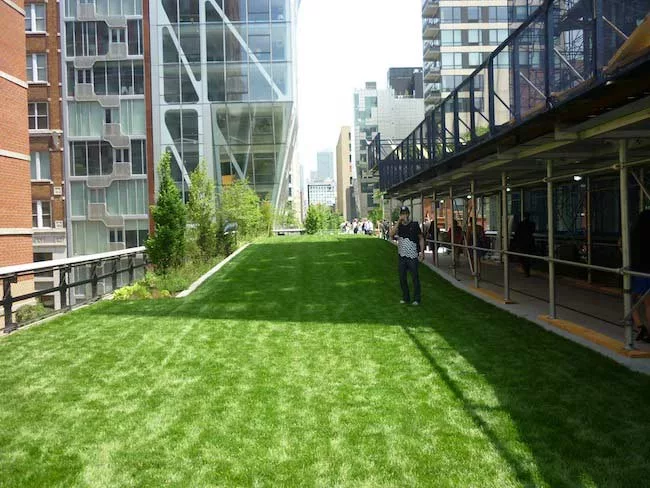 View north and lawn