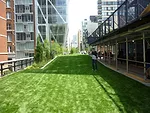 View north and lawn