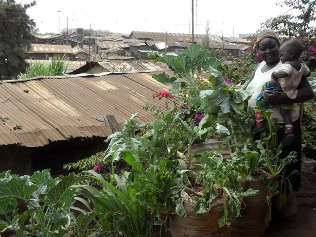 Mukuru Lunga-Lunga informal settlements, Nairobi, Kenya