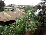 Mukuru Lunga-Lunga informal settlements, Nairobi, Kenya
