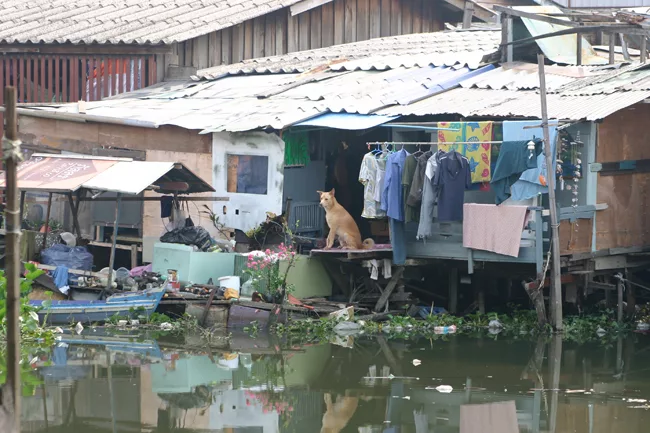 Designers: community members of the Bang Bua Canal Network, with Prayong Posriprasert, Nattawut Usavagovitwong, and Sakkarin Sapu, Sripatum University