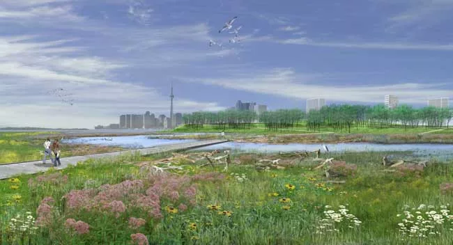 Meandering paths of urban estuary.