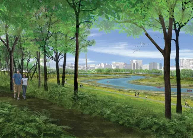 Urban estuary in the River Precinct.