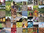 Louise Braverman to Build Health Facilities in Burundi, Africa
