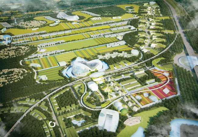 Eco Values Grow Near Beijing