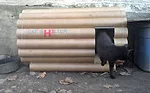 The shelter designed by H3 Hardy was given to CSM Foundation. Here, a stray cat uses the outdoor shelter.