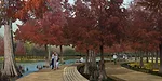 Designs for National Mall Sites Now Open for Public Comment