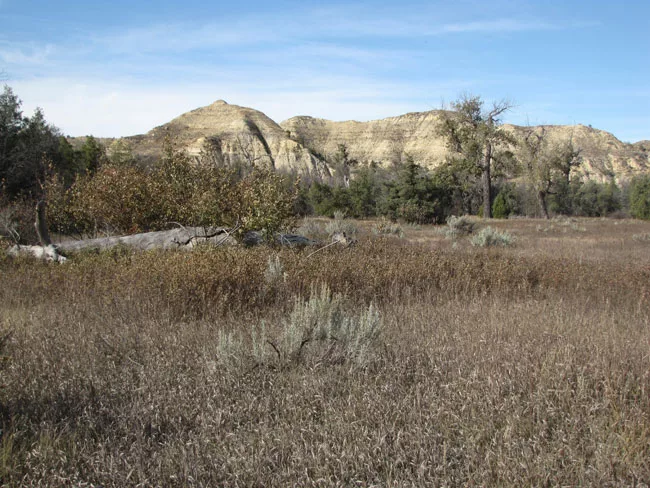 National Trust Announces America's 11 Most Endangered Sites