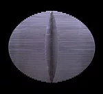 Santiago Calatrava