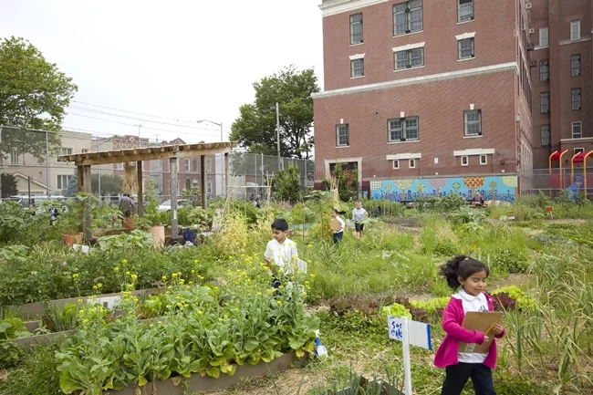 <p><strong>WORKac</strong></p><p><em><strong>Edible Schoolyard, P.S. 216</strong></em></p><p><strong>(Brooklyn, 2011)</strong></p><p>For Alice Waters’ first Edible Schoolyard in New York, archit