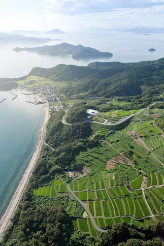 Aerial view of Teshima Art Museum.