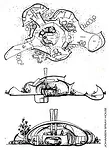 Johansen's 1955 design for a sprayed concrete house.<br />