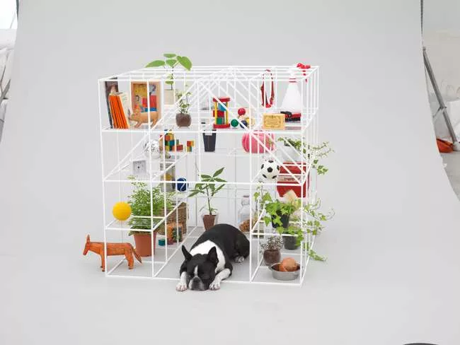 Sou Fujimoto - Boston Terrier