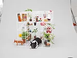 Sou Fujimoto - Boston Terrier