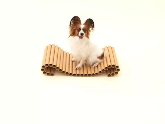 Shigeru Ban - Papillion