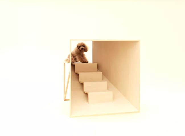 Kenya Hara - Toy Poodle